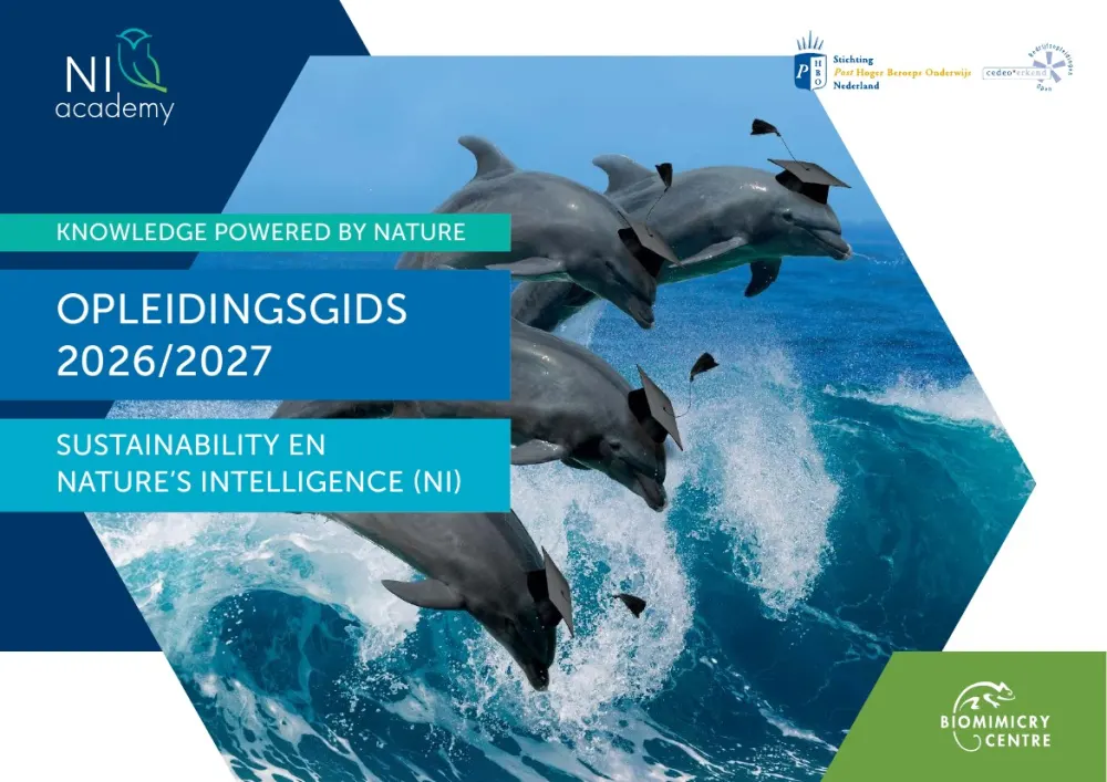 Opleidingsgids 2026/2027 - 1